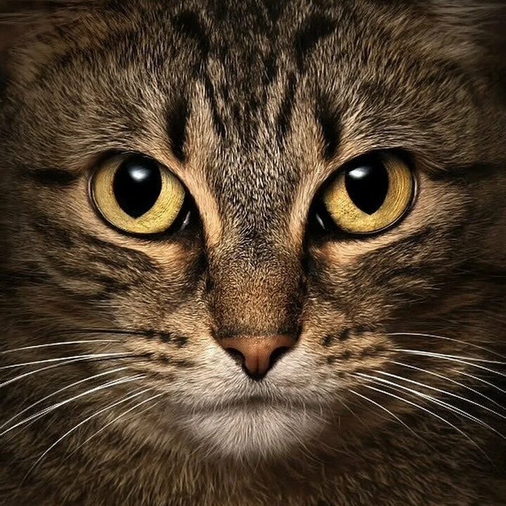 Вот такая тема с Олей 