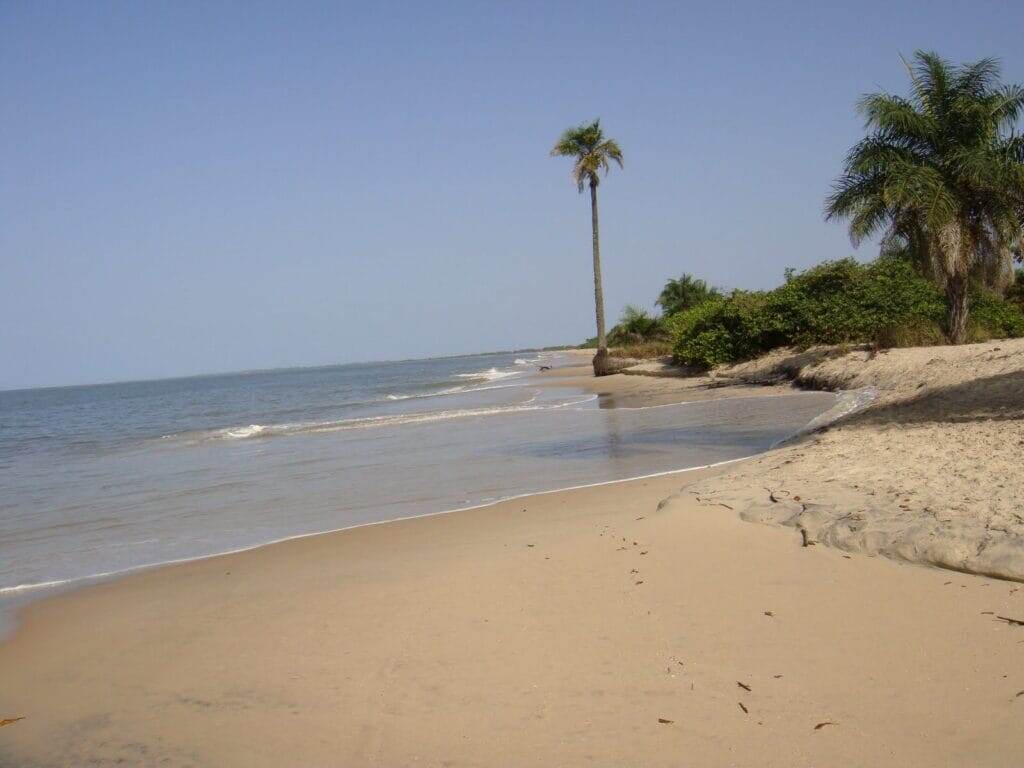    Иммиграция в Гвинею-Бисау Сервис иммиграции