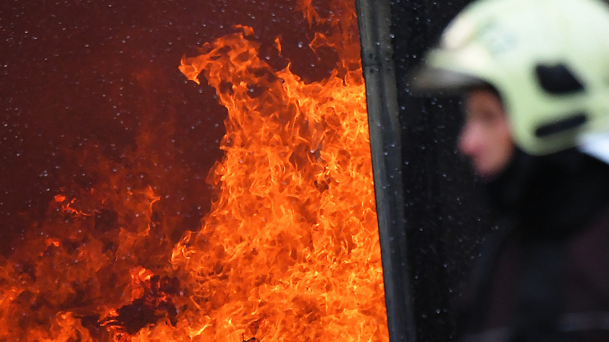    Фото: ИЗВЕСТИЯ; 5-tv.ru