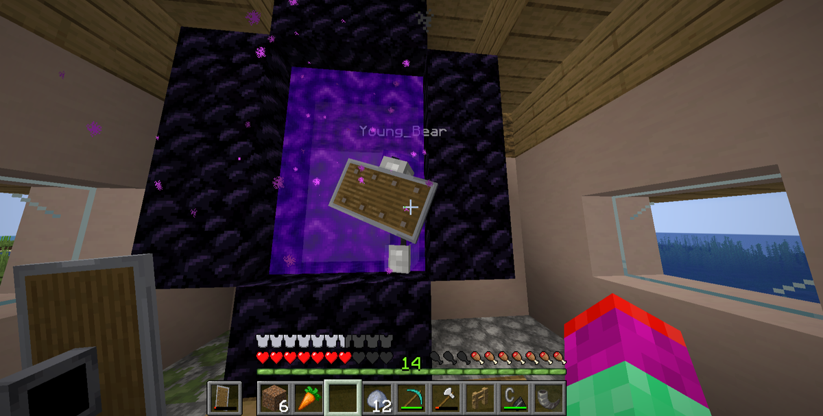 Янг в портале в доме