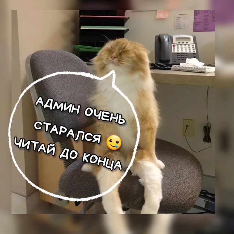 В час ночи писал, ну реально…