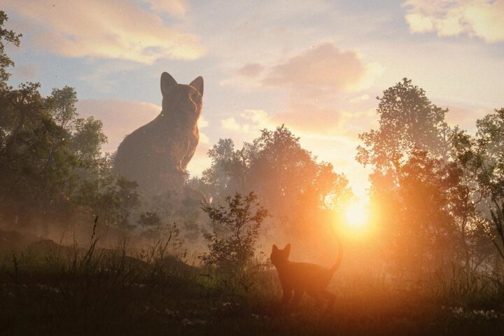 Источник фото: Яндекс картинки.