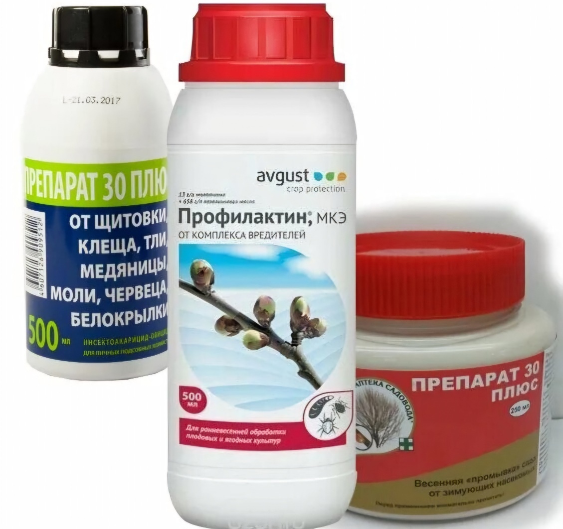 Искореняющая обработка сада