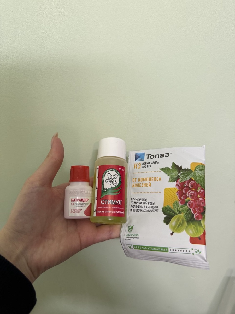 Баковая смесь для обработки орхидей