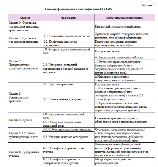 Отек ног после эндопротезирования коленного сустава. Отек ног после эндопротезирования коленного сустава