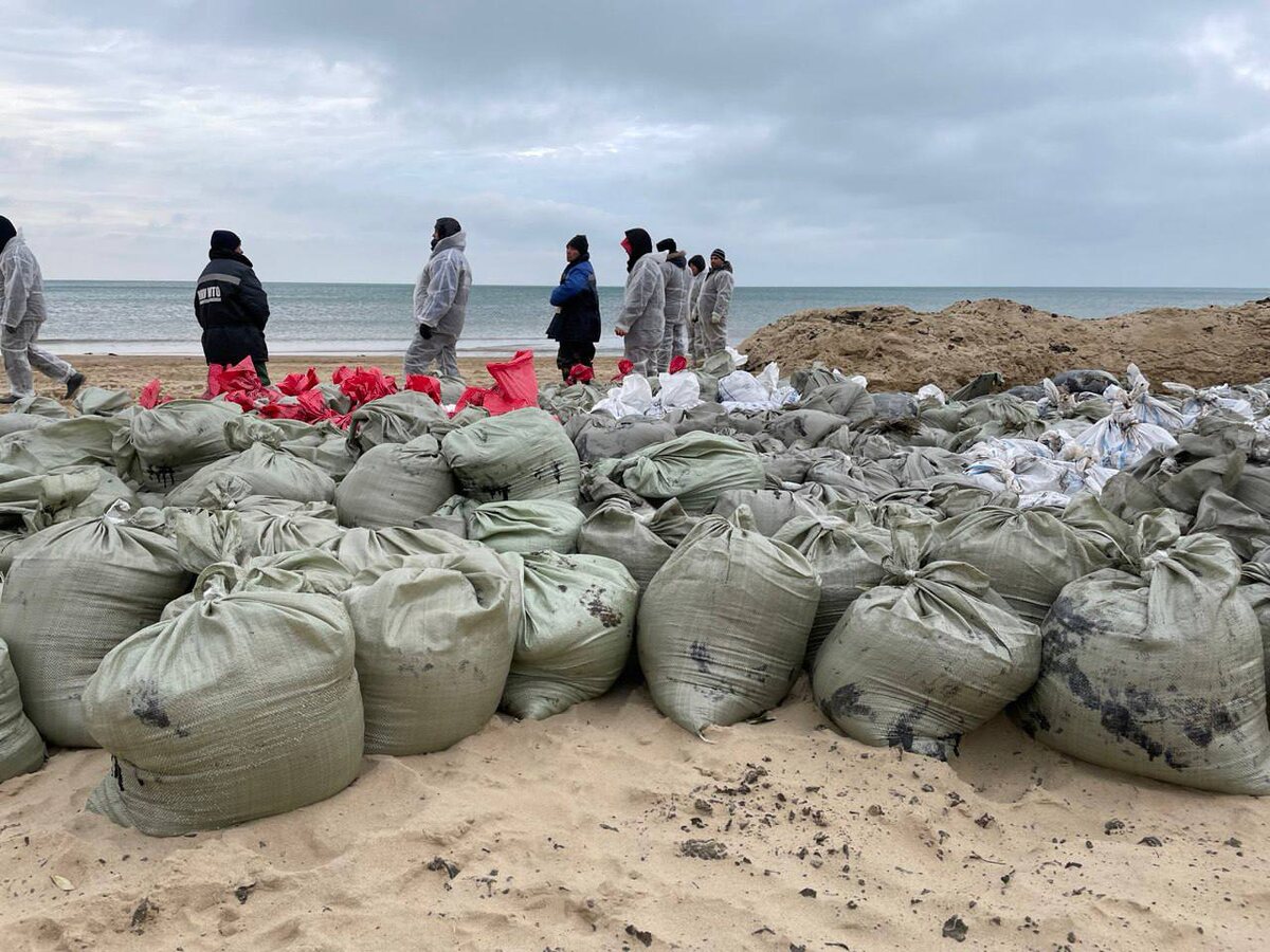 Фото: Утренний Юг