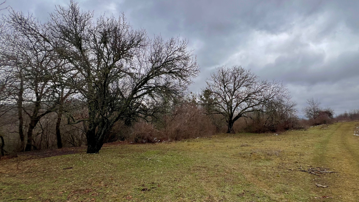 Место тур стоянки «Высокое»