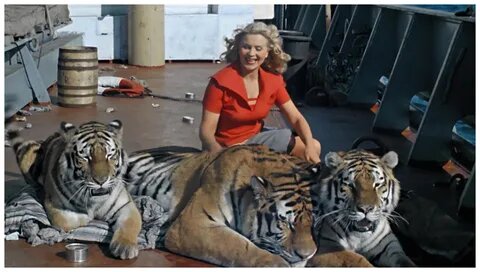 Маргарита Назарова с тиграми. Кадр из фильма
