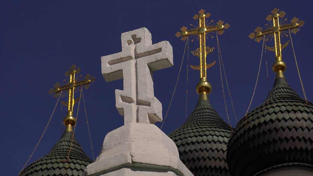    Фото: Анатолий Цымбалюк / Вечерняя Москва