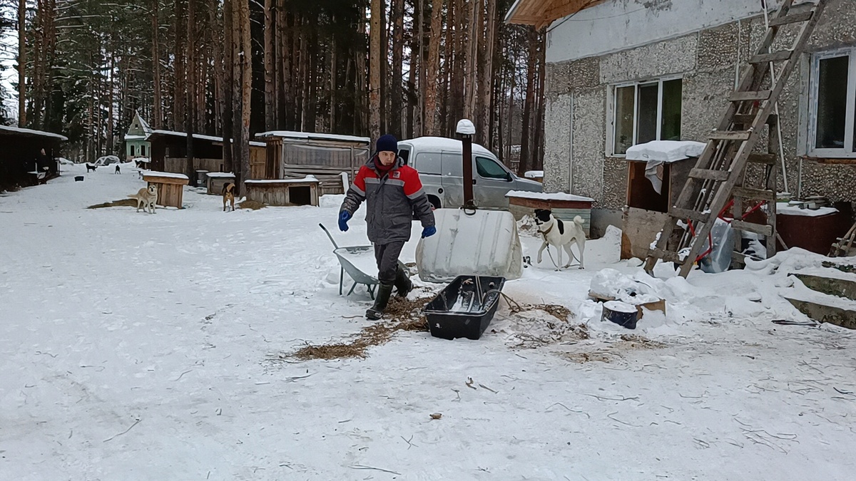 Работы в приюте невпроворот.