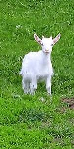 фото взято из интернета