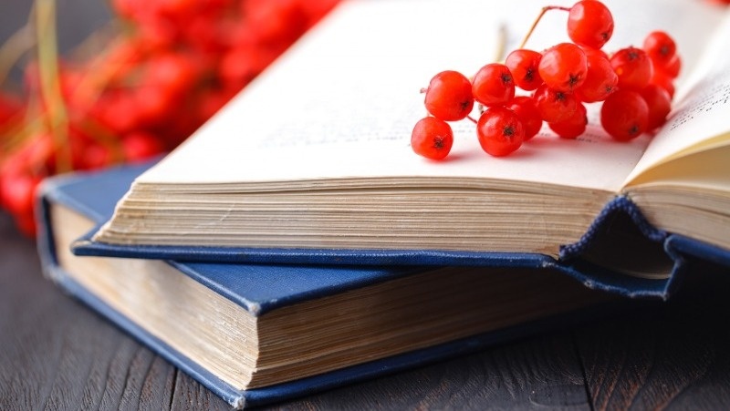 @andreycherkasov / freepik.com