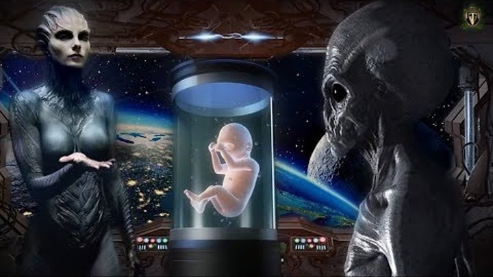 Источник фото:https://avatars.dzeninfra.ru/get-zen_doc/163240/pub_5e9422066dfdce0b1380442c_5e942b969bd3be634aaf57d7/scale_1200