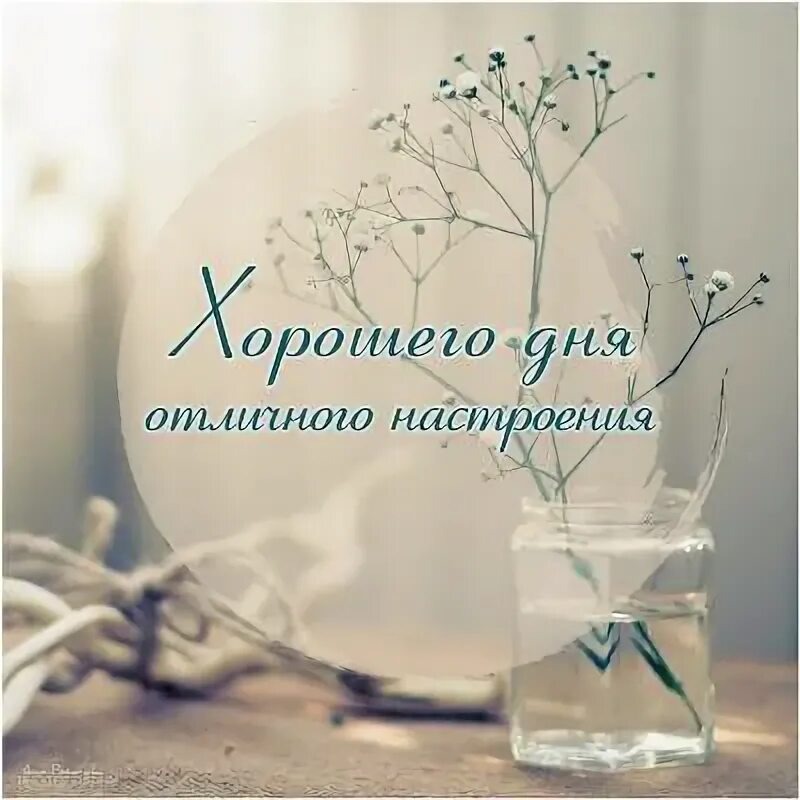 Из интернета для хорошего настроения 🫶🏻