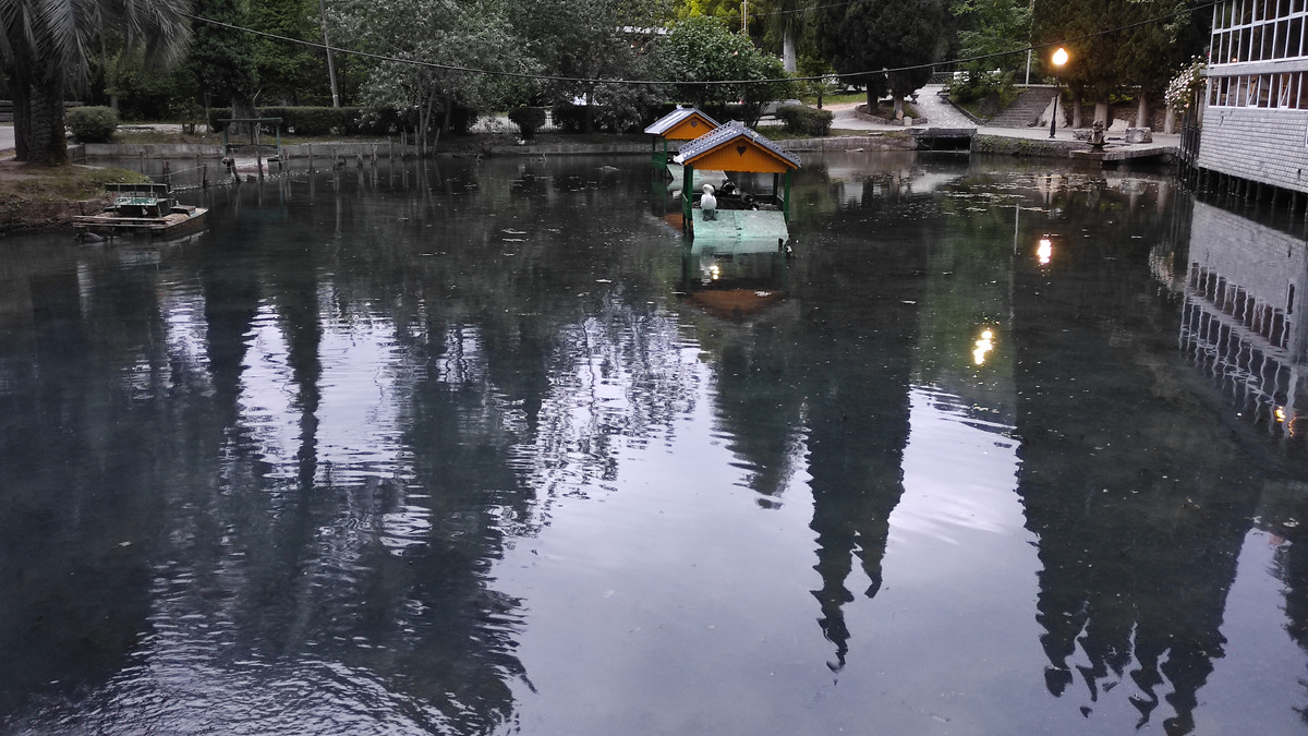 Свет ночью нужен всем, даже лебедям. Фото: Кирилл Полиенко/Polienko: путешествуем вдвоём