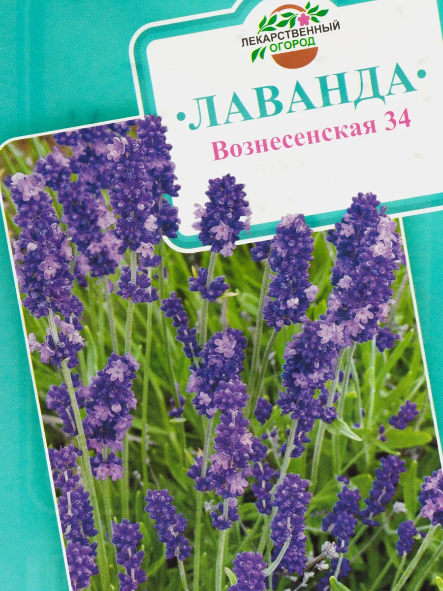 https://avatars.mds.yandex.net/i?id=26f952dce07f081bb02002648d22ac8b_l-11538780-images-thumbs&n=13