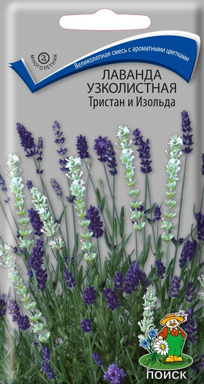 https://leso-torg.ru/upload/iblock/e78/9223lc9nds3vuoo5uco4y7jj9zllwl8z.jpeg