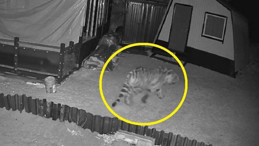    Источник фото: