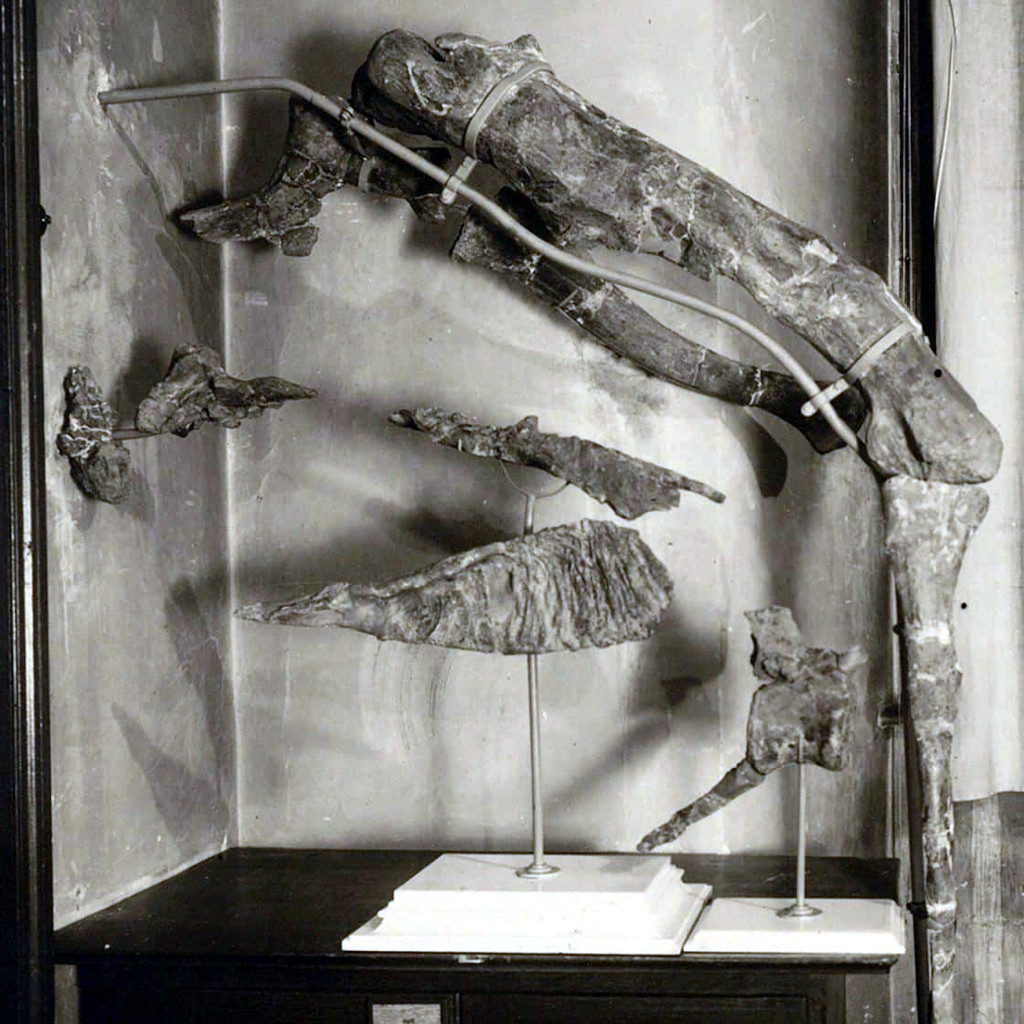 Одна из тех самых фотографий.