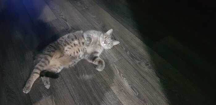 Листайте вправо, чтобы увидеть больше изображений