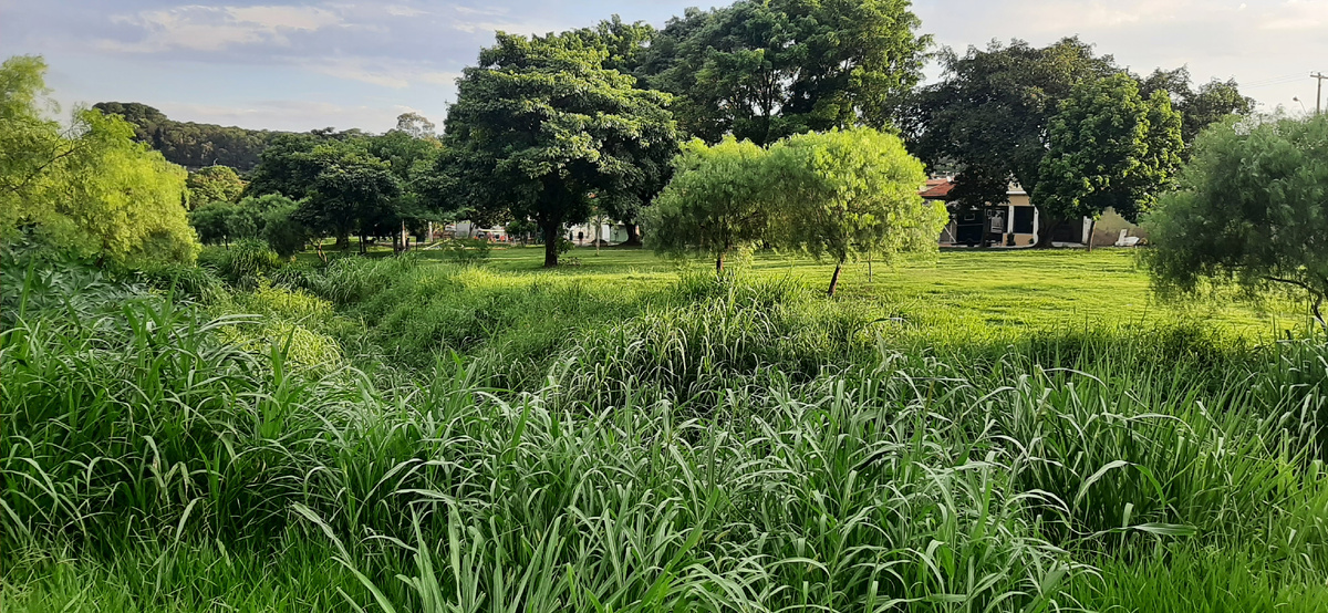 Кампинас, вилла Падре Анчиета. Зелёная долина.