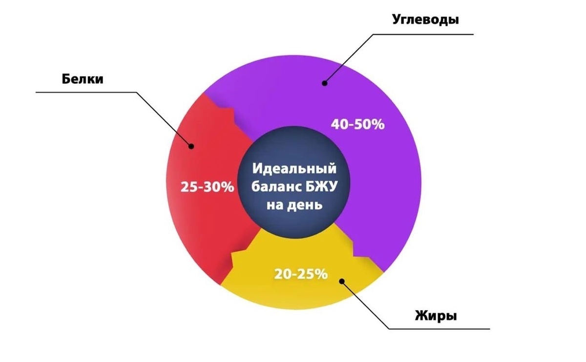  1. Баланс белков, жиров и углеводов