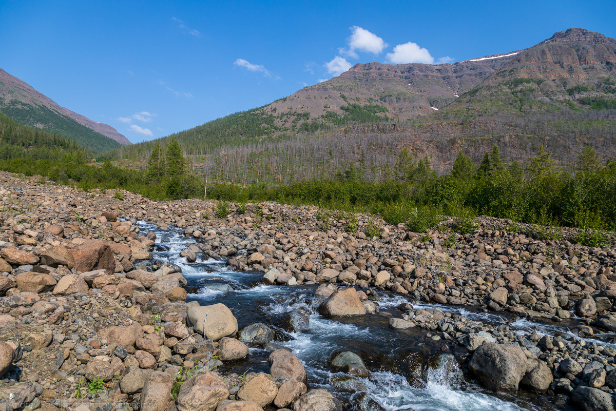 Ручей, вдоль которого поднимались