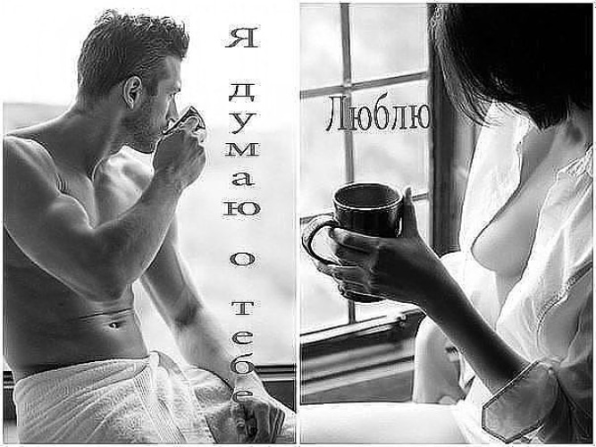 Яндекс Открытый источник 