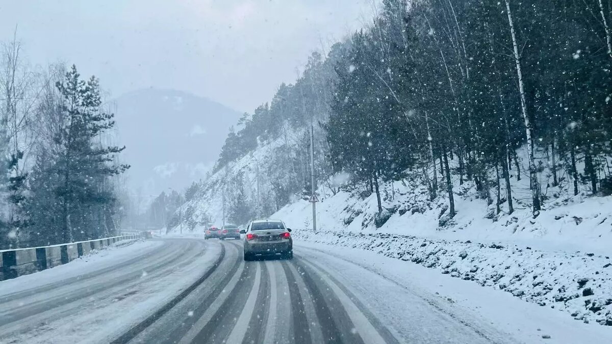     Источник: t.me/gibdd124