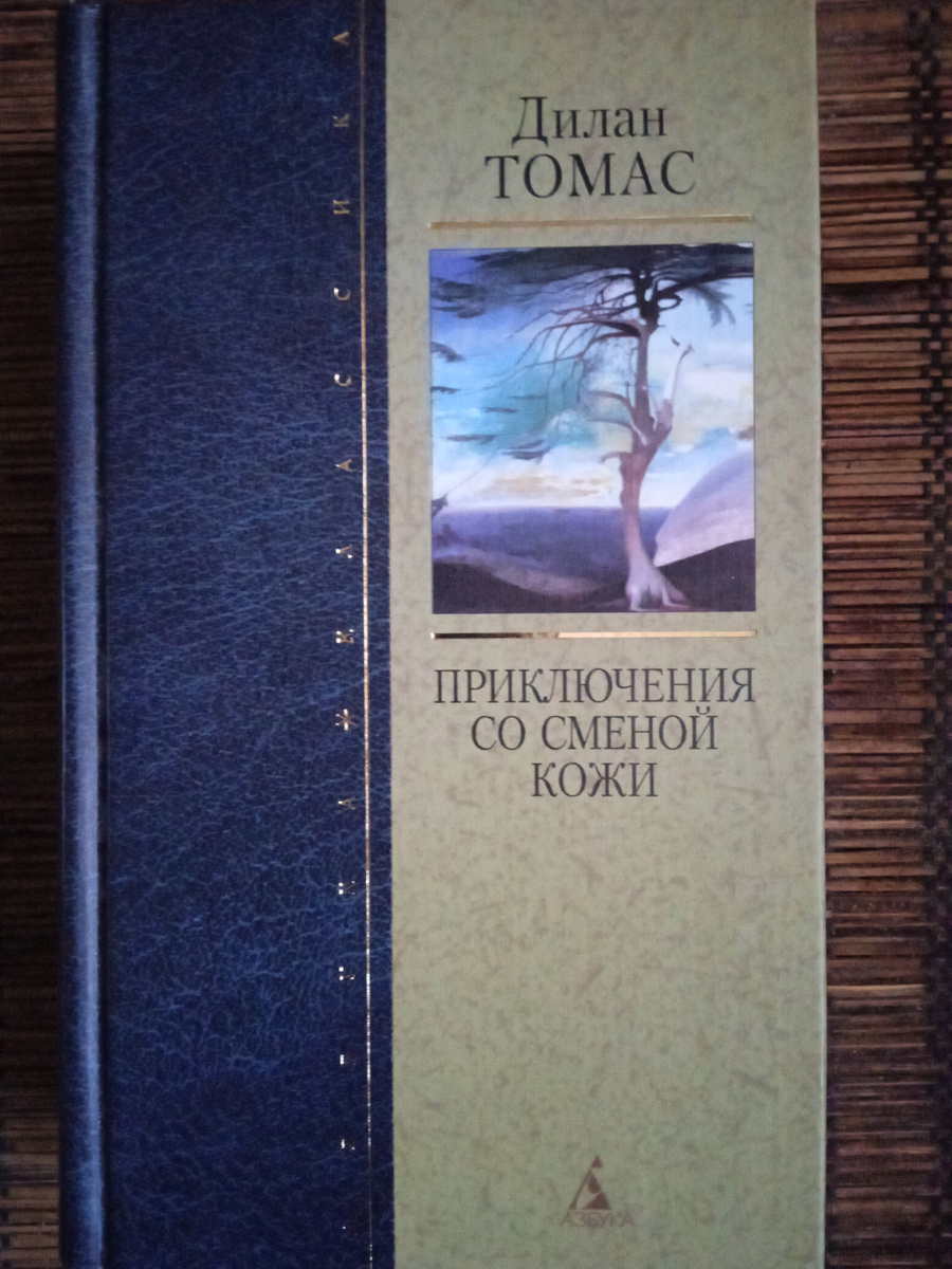 " Азбука - классика " СПБ 2001 год. 672 стр.