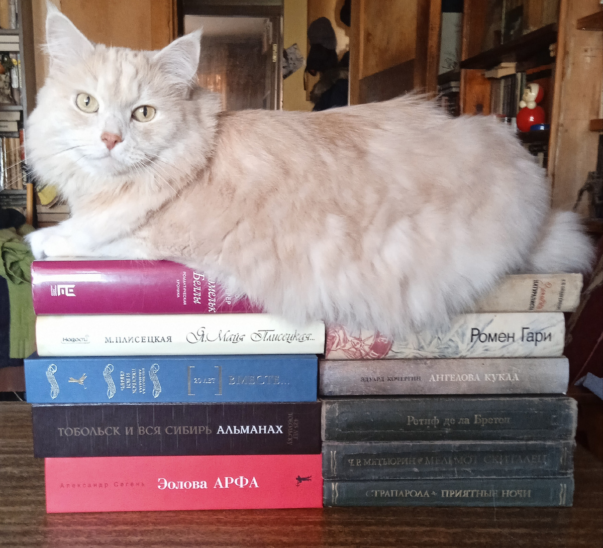 Можно подумать, что я так сильно люблю котика, но нет - просто статьи с такой заставкой , вызывают больший интерес и набирают кучу просмотров. Шучу.