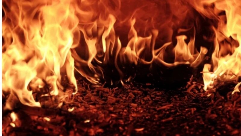     Пожар. Огонь. Пламя. СС0