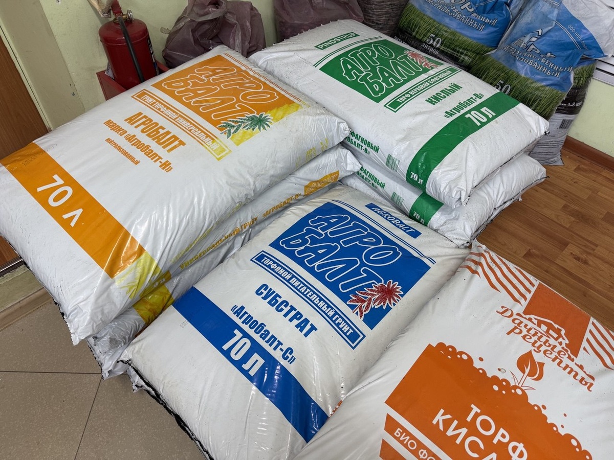 Фото автора канала Дом с кипарисами