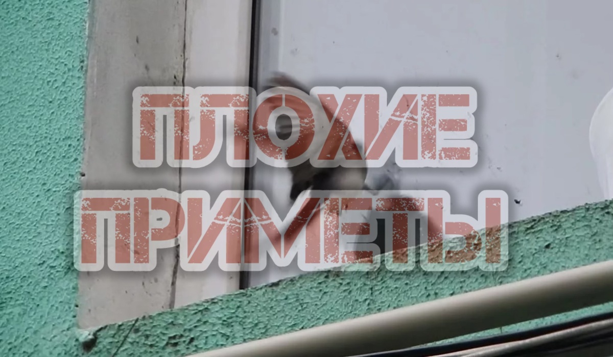 Картинка из интернета 