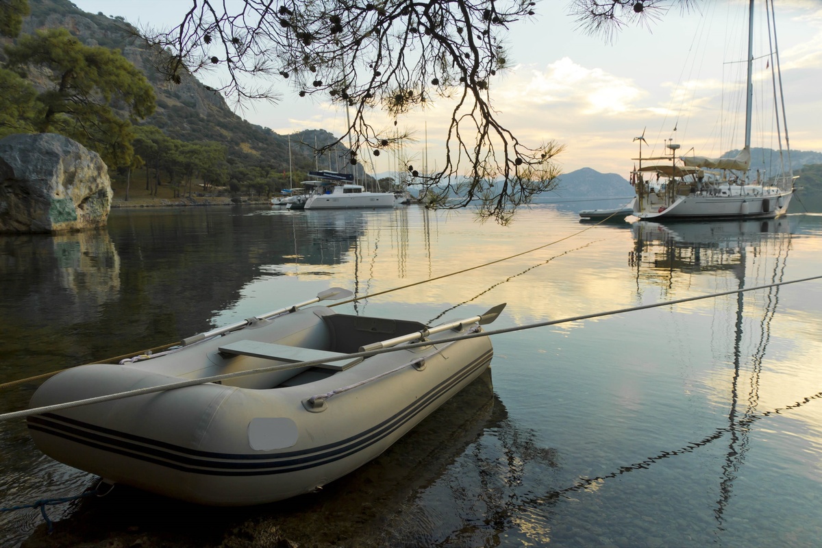 Одну, но глобальную