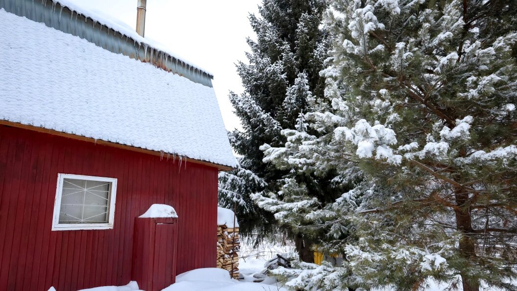    Фото: Elena Mayorova/Globallookpress.