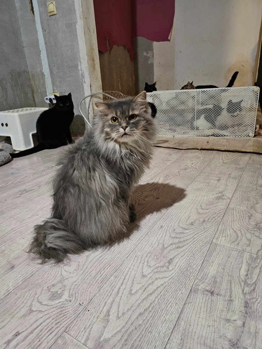 Фото автора. Шарапов.