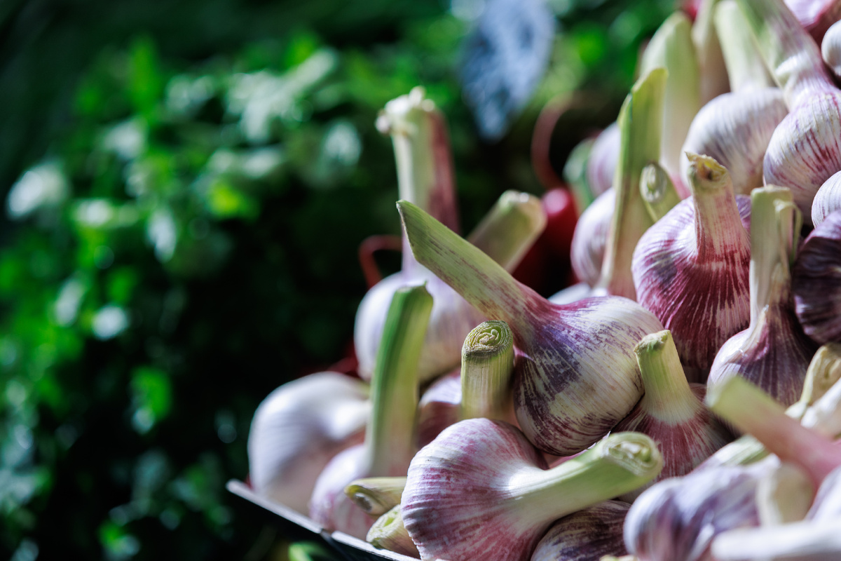 Источник: globallookpress.com