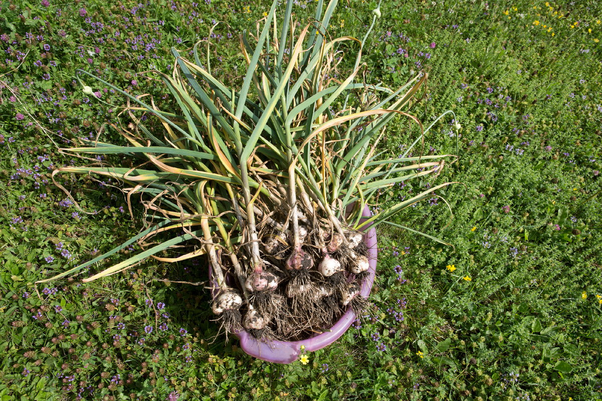 Источник: globallookpress.com