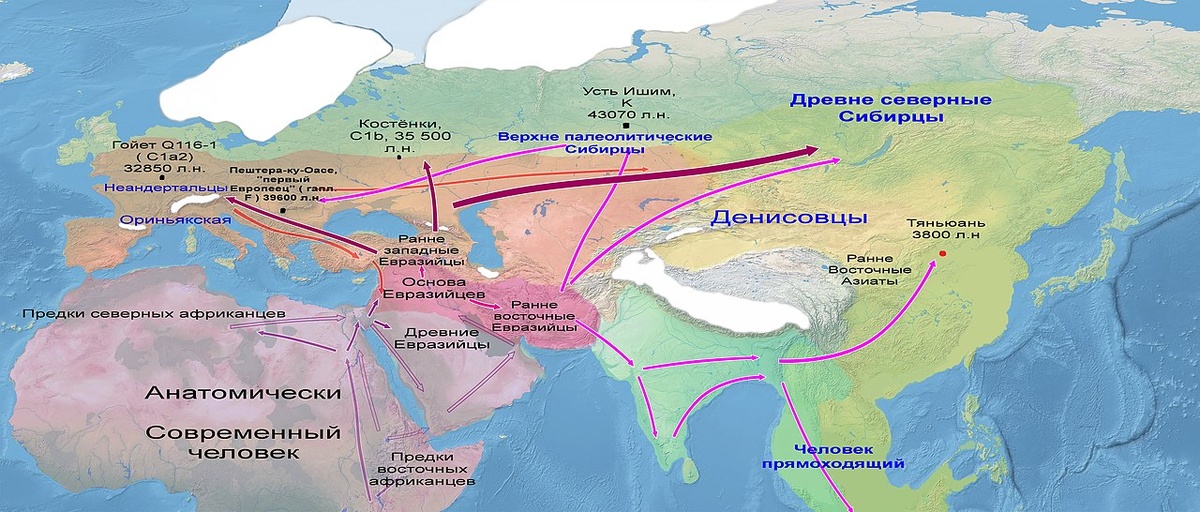Карта миграций анатомически современных людей