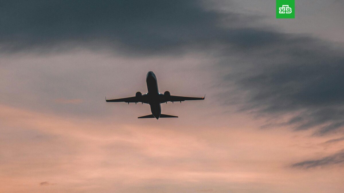    Фото: Tim Dennert / unsplash.com