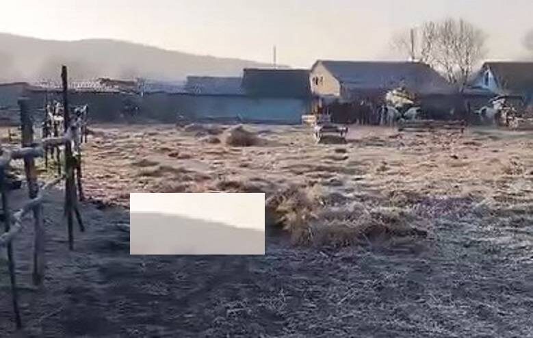    Источник фото: