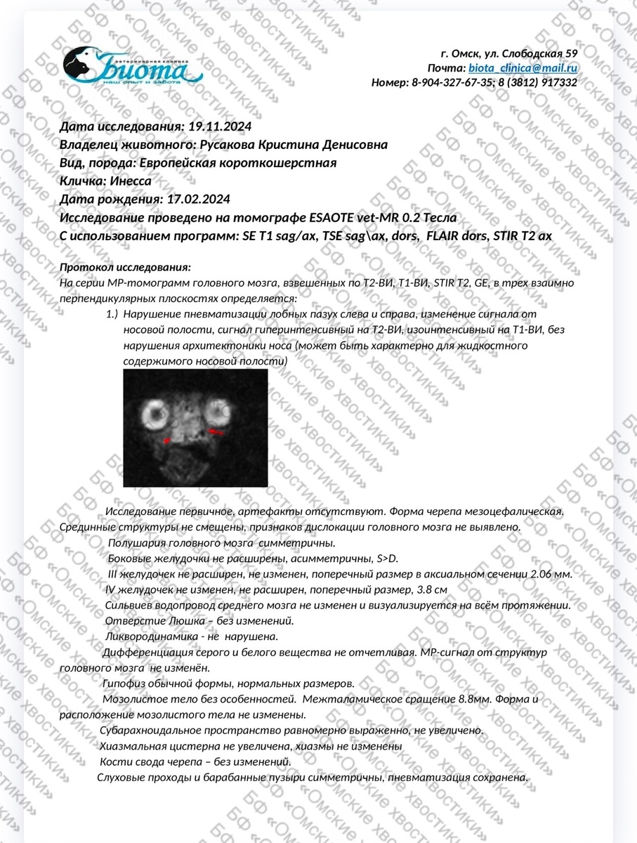 Документы, которые есть на сегодняшний день