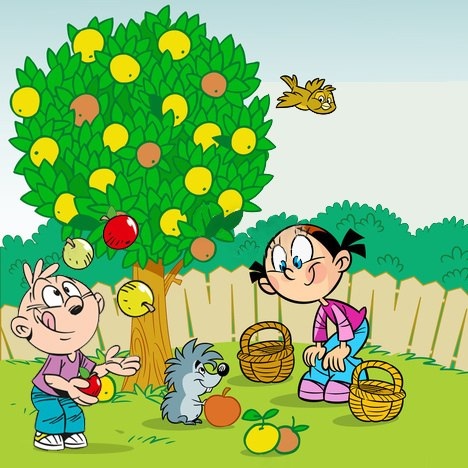 фото с интернета.