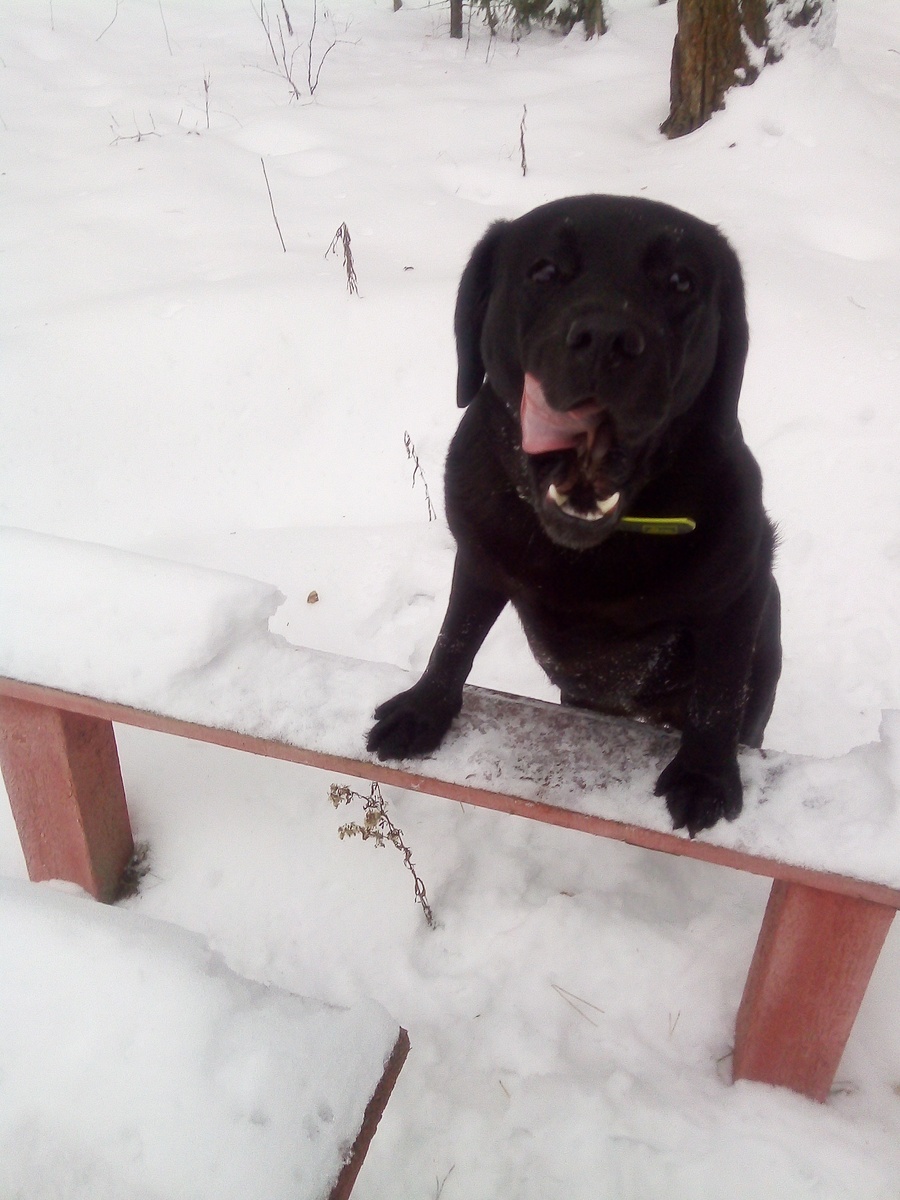 Фото автора.