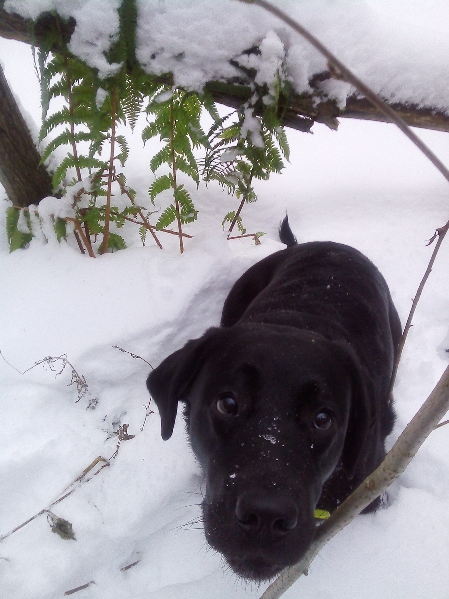 Фото автора.