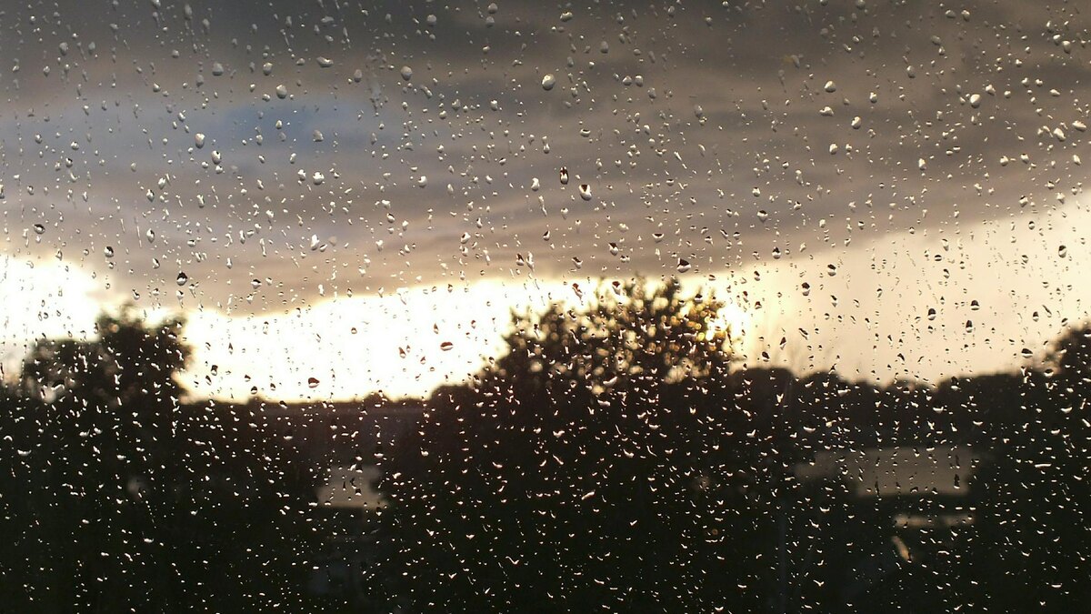    Фото: Victor Lisitsyn, Виктор Лисицын/globallookpress.com