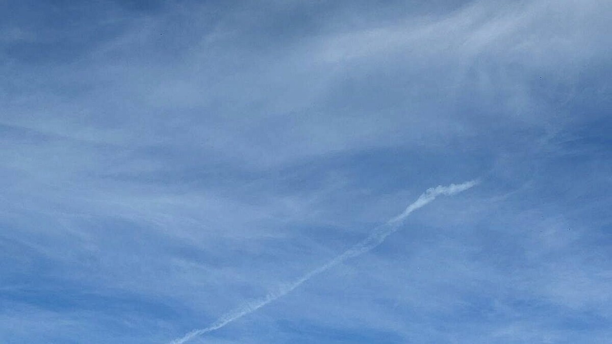    Фото: телеканал «Краснодар»