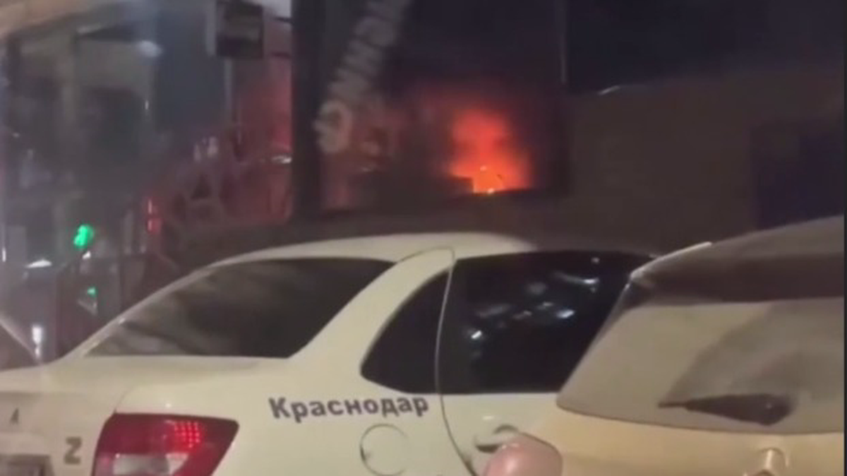    Фото: Telegram-канал Shot / скриншот