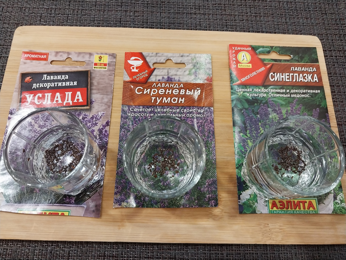 Замачивание семян на проверку всхожести (те что останутся на плаву - на выброс)